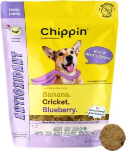 Bag of Chippin Antioxidant Cricket Protein Dog Treats