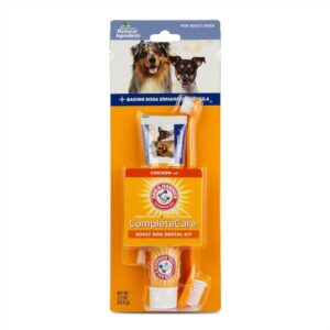 Dog dental care kit with toothpaste and brush.