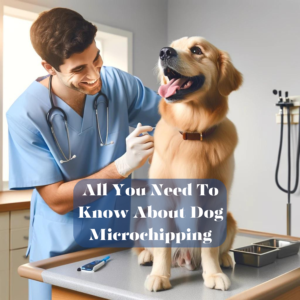 dog getting microchipped from veterinarian