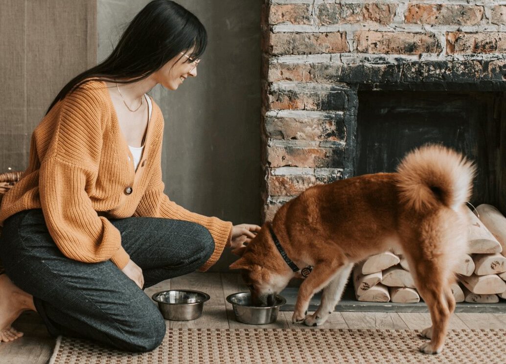 Woman feeding dog by fireplace.