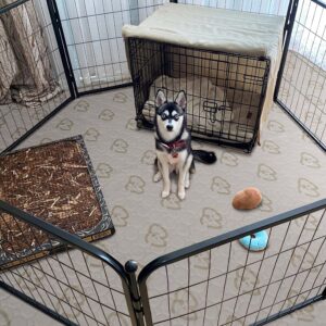 Husky inside playpen with crate and toys.