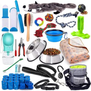 Assorted dog care and training supplies collection.