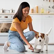 Dog and Puppy Nutrition Topics