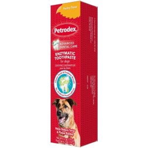 Petrodex poultry-flavored enzymatic toothpaste for dogs.