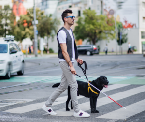 Man crossing street with guide dog.