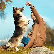 Dog and Puppy Training Topics